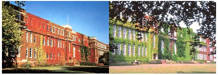 Regent's College�L�����p�X�̎l�G