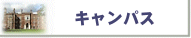�L�����p�X�ē�