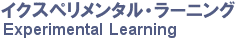 Experimental Learning