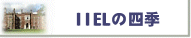 IIEL�ł̊w������
